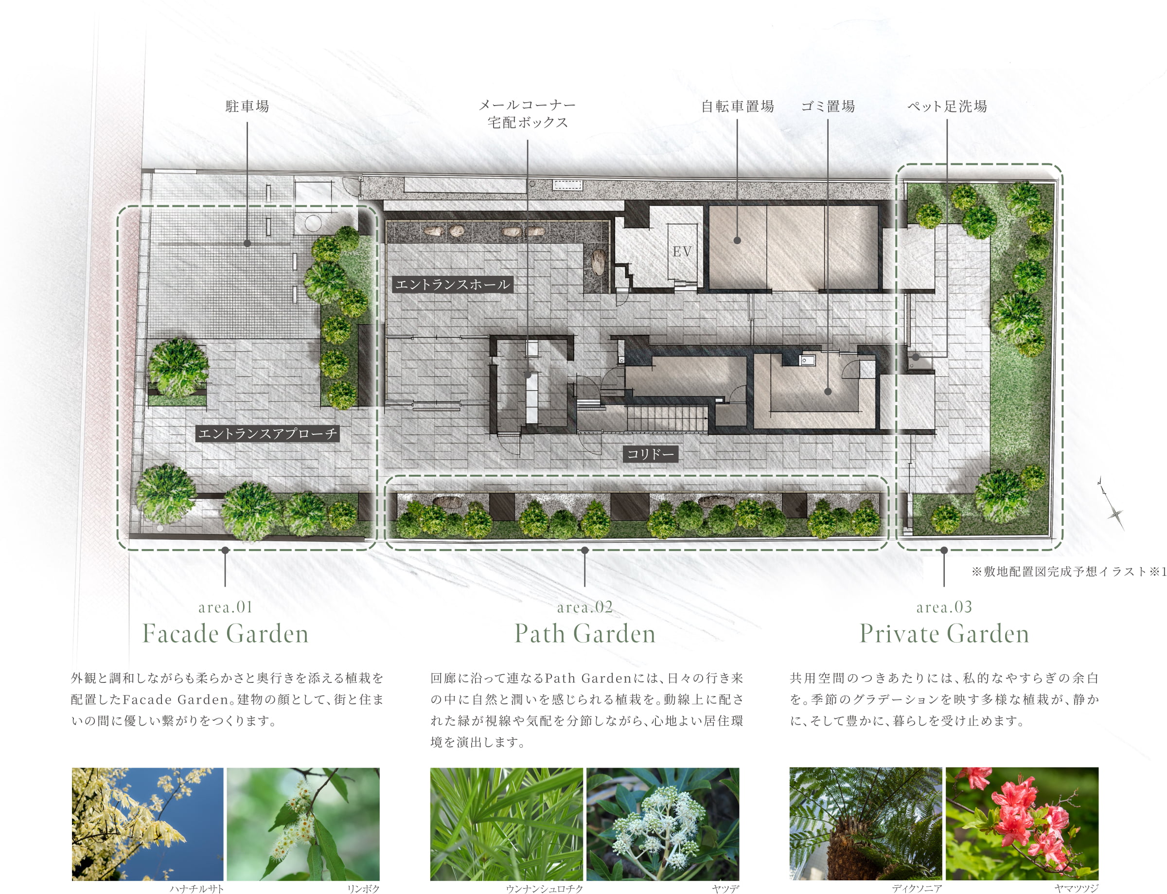 アトラス上野根岸 ROJINIWAアプローチ回廊